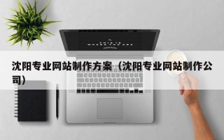 龙口沈阳专业网站制作方案（沈阳专业网站制作公司）